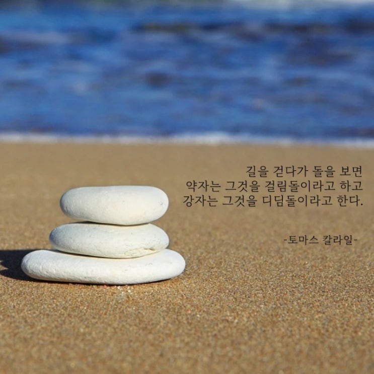  부거사이 [부동산 뉴스와 블로그] 1월 10일(월)