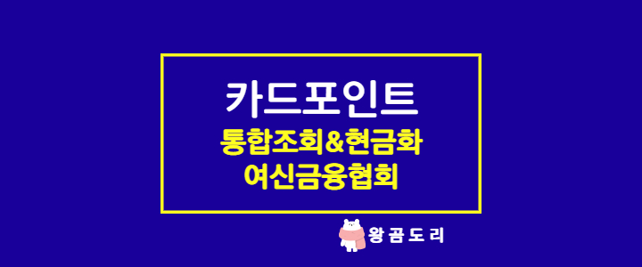  카드포인트 통합조회 여신금융협회에서 현금화하는 방법