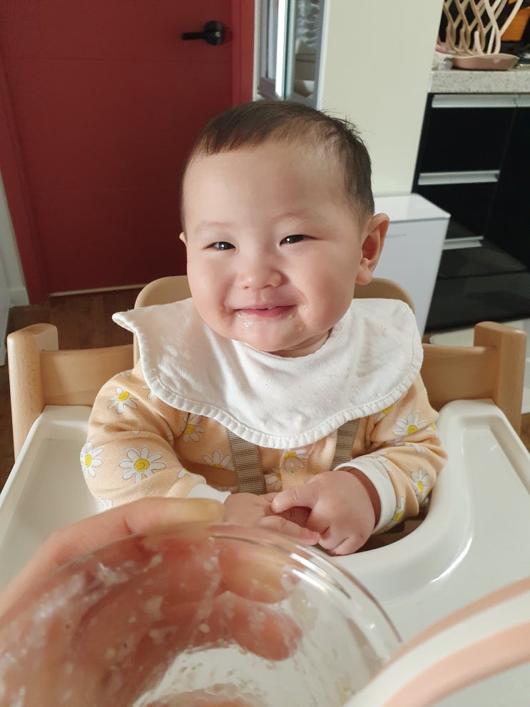  [이유식 중기] 258일 베이비무브로 만드는 소고기오이배죽과 닭안심적채사과죽