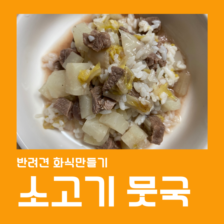  강아지 보양식, 소고기 배추 뭇국 만들기