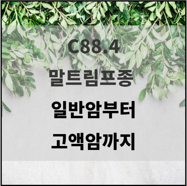  말트림프종 일반암부터 고액암까지 보상 검토 받으세요