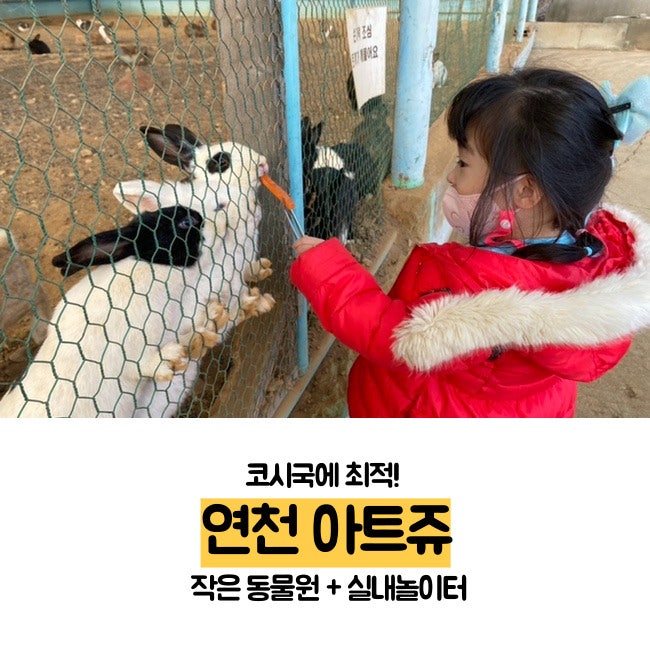 아트쥬 사진 1