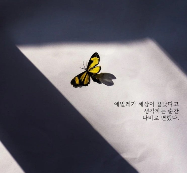 부거사이 [부동산 뉴스와 블로그] 1월 11일(화)