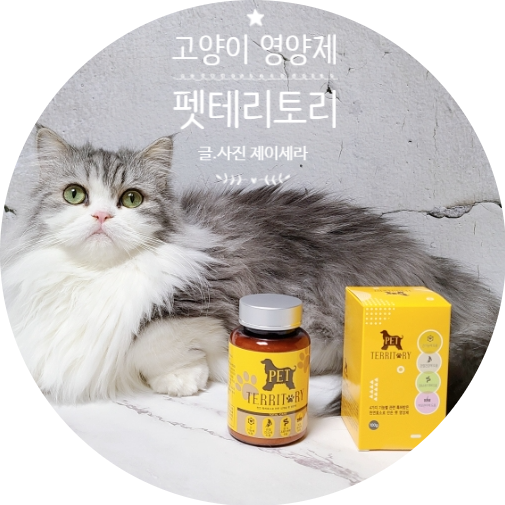  사랑하는 강아지 고양이 건강을 위해 선택한 고양이영양제!