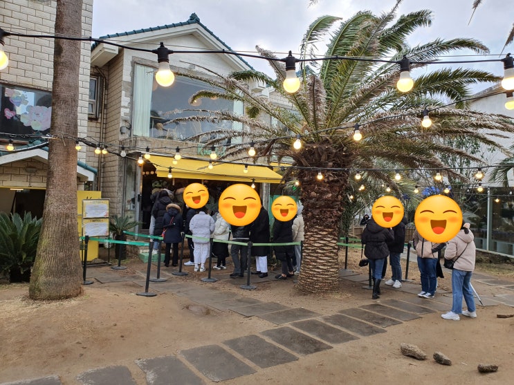  [제주 카페]소금이와 함께 노티드 제주 방문기