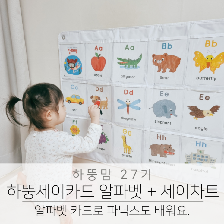  하뚱세이카드 알파벳카드와 세이펜으로 자연스럽게 파닉스 학습