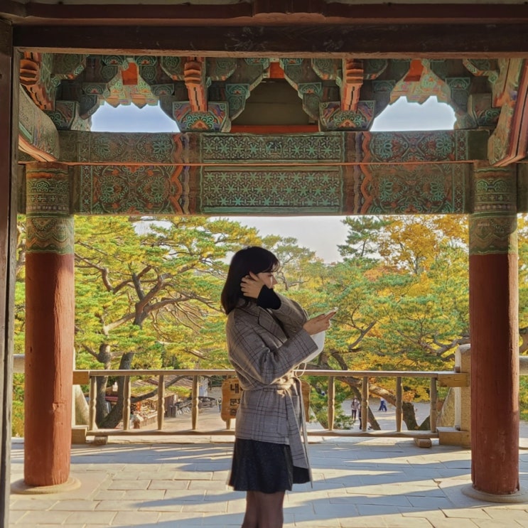  경주 유적지 불국사 석굴암 (입장 시간/요금)