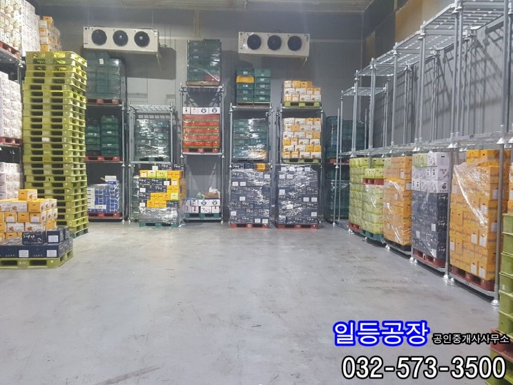 인천 도화동 냉장창고임대 1층114평(냉장60평)
