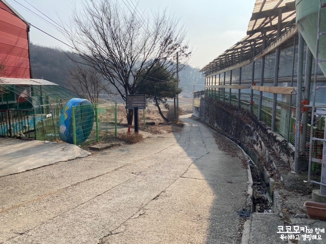 아트쥬 사진 2
