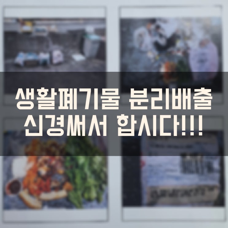  생활폐기물 분리배출 신경 써서 합시다 (귤껍질은 음식물 쓰레기)