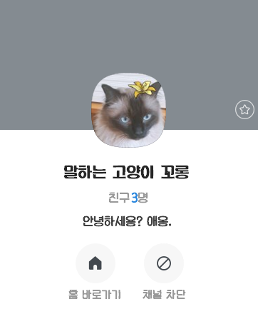  나만의 심심이 챗봇 채널을 만들었다. :: '말하는 고양이 꼬롱'