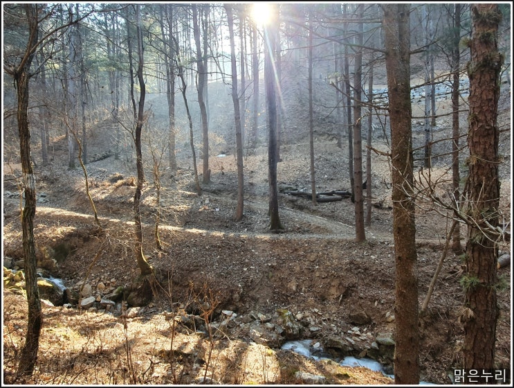 미리 걸어보는 홍천 남산의 새 숲길들