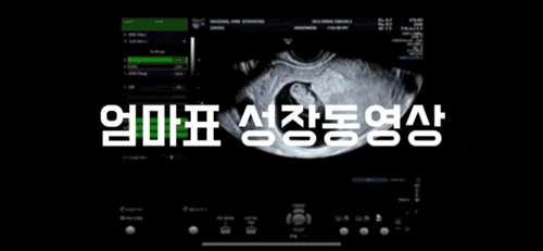돌잔치 엄마표 셀프 성장동영상 만들기 꿀팁! (무료 영상 편집 프로그램 필모라 사용)