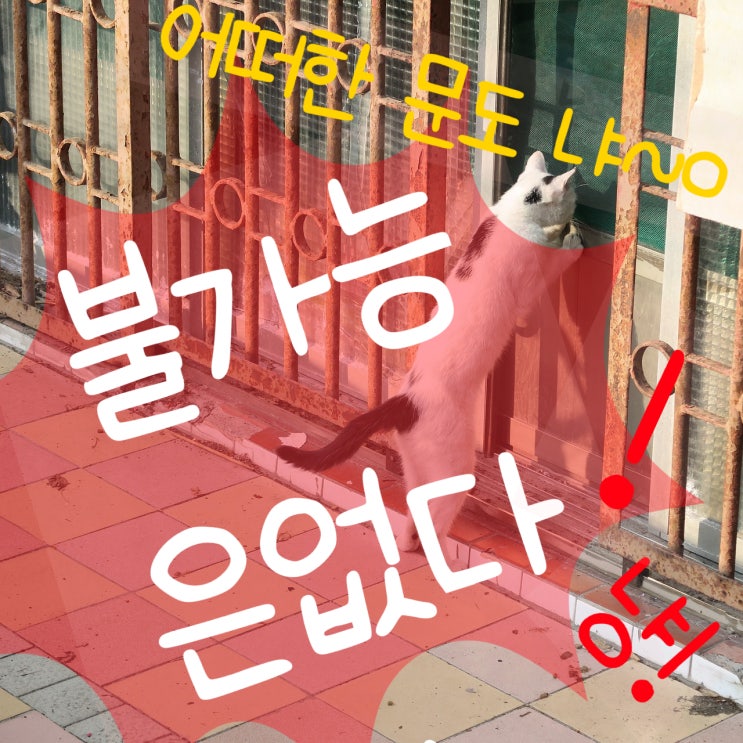  문 이야기 현관문 도어록 DIY 난이도 높음 장비 빨 이 필요! 방문 손잡이 DIY  난이도 낮음~