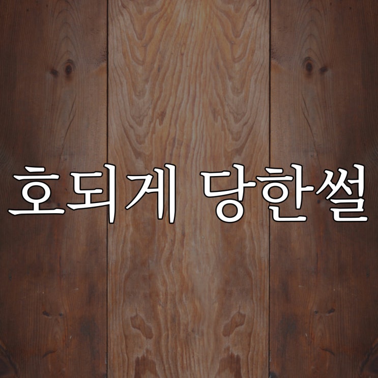  호되게 당한 썰 / 실화 공포 이야기