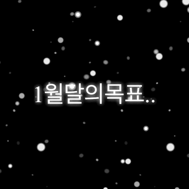  1월달의 목표..