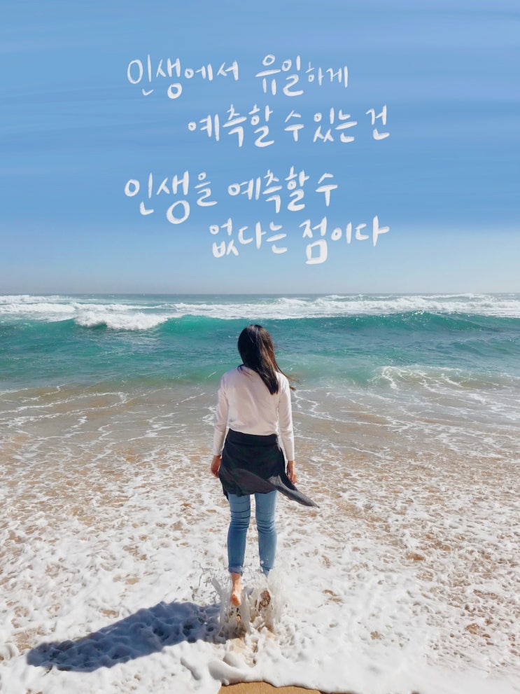라따뚜이 명대사 손글씨로 써봄 라따뚜이 명대사 손글씨로 써봄
