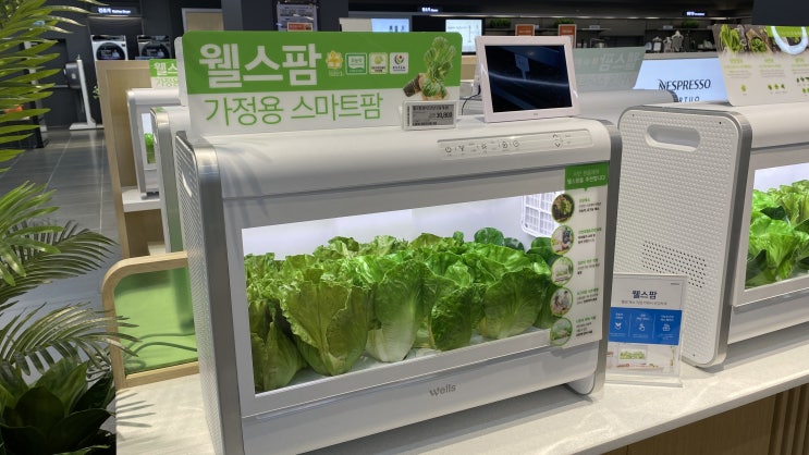  가정용 식물재배기 시티팜, 웰스팜, LG식물재배기 장단점 비교, 식물재배 해볼까?