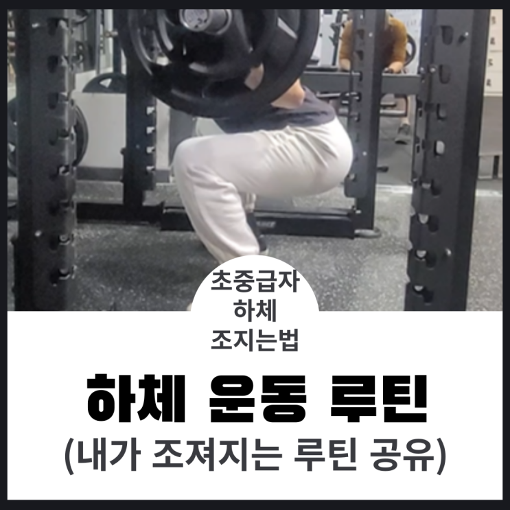  현재 하체 운동 루틴 <feat.초중급자>