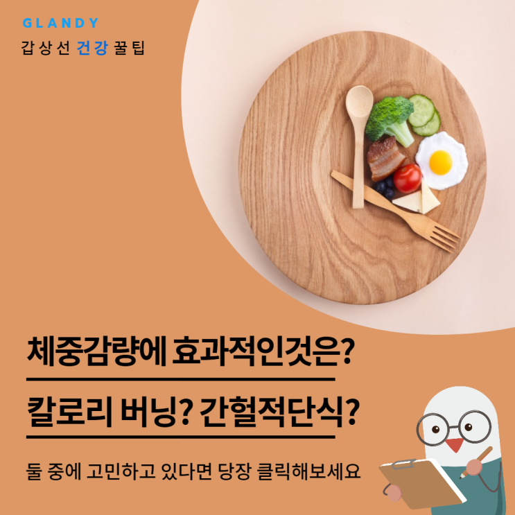  체중 감량에 칼로리 버닝이 효과적일까? 간헐적 단식이 효과적일까?