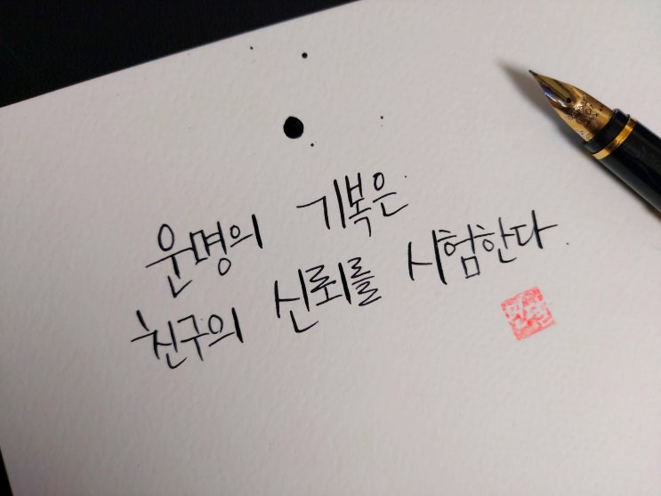  [1일 1캘리그라피] 키케로 명언 1