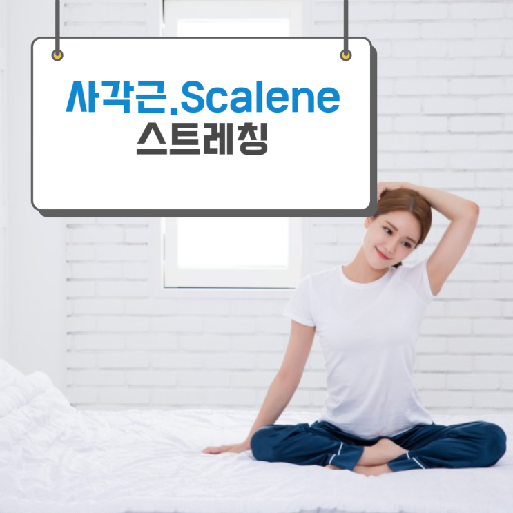  사각근 스트레칭으로 목 어깨 통증 예방하기!