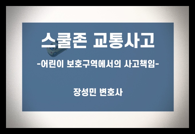  스쿨존사고: 어린이보호구역 내 교통사고의 형사처벌