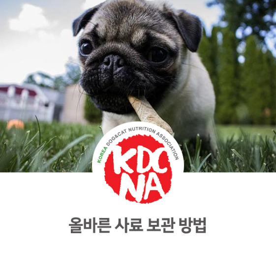 반려밥상 이지안 펫영양사가 알려주는 사료 올바른 보관 방법_955 [한국반려동물영양협회/펫푸드수업/펫푸드자격증/애견간식창업/강아지자연식/고양이화식/강아지케익/전주/광주/나주/목포]
