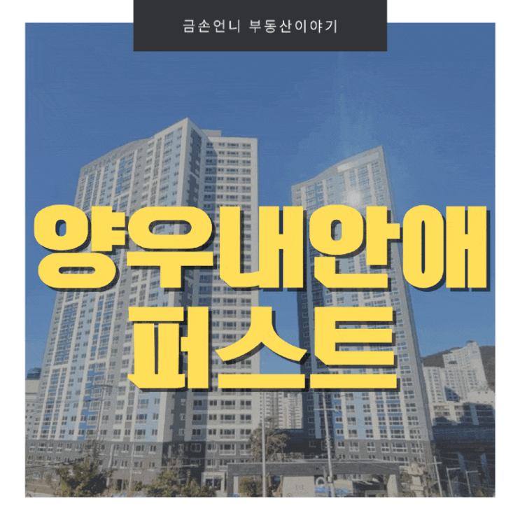  양우내안애퍼스트 대연마루 명문학군 중심지 입주