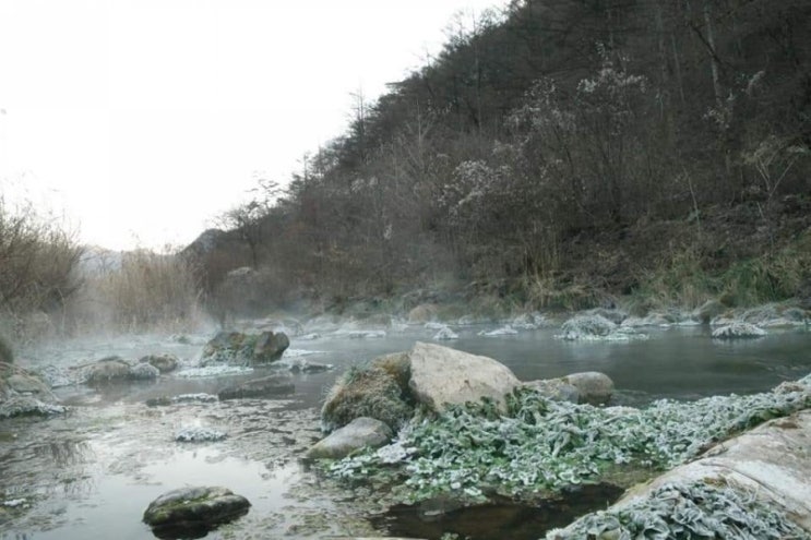  겨울 평창 가볼만한곳 어름치마을 상고대 강릉 경포호수 눈꽃여행