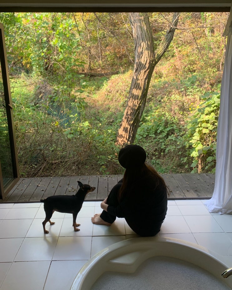  [럭키랑 강화] 애견동반펜션 - 무무펜션