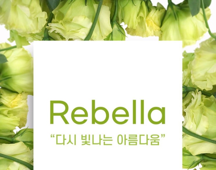  리벨라샵 대해 궁금한거 알아보자!