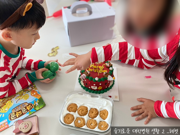  루푸스 활성기 슬기로운 대학병원 생활 2