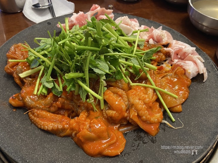  [잠실새내] 맛집 쭈꾸미도사