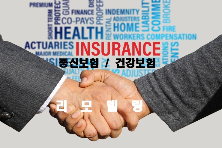  2005년 가입한 종신보험 건강보험 15년후 리모델링 후 신 건강보험으로
