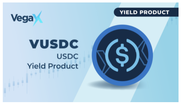  베가엑스, 스테이블코인 USDC 기반 투자 상품 ‘VUSDC’ 출시 [