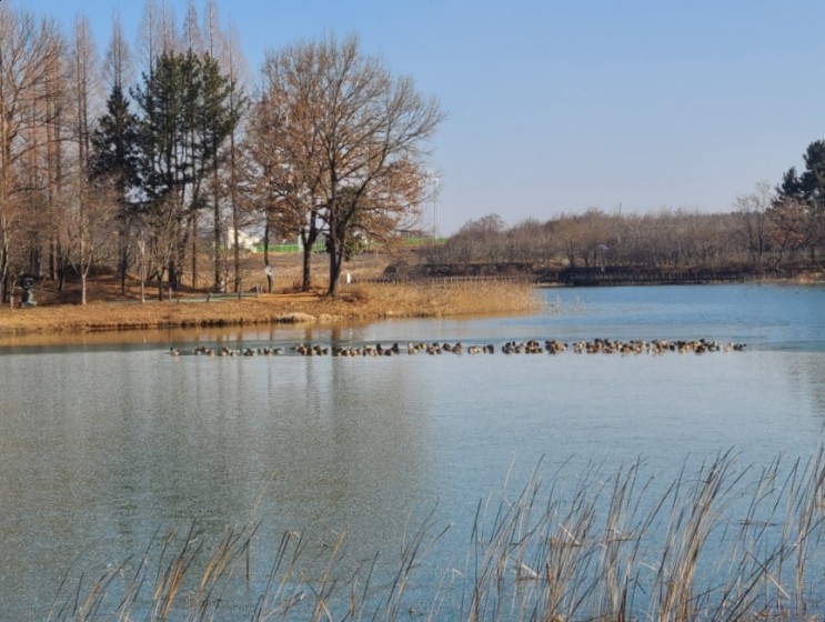 김제 가볼만한 곳, 김제 시민문화 체육공원(김제 시민문화 공원)을 산책하다.