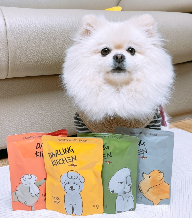  강아지화식 냉동없이 간편 보관하는 건강식 달링키친