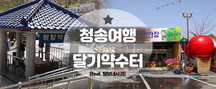[청송] 청송여행에 빠질 수 없는 달기약수터 원탕 (feat. 털보네사과)