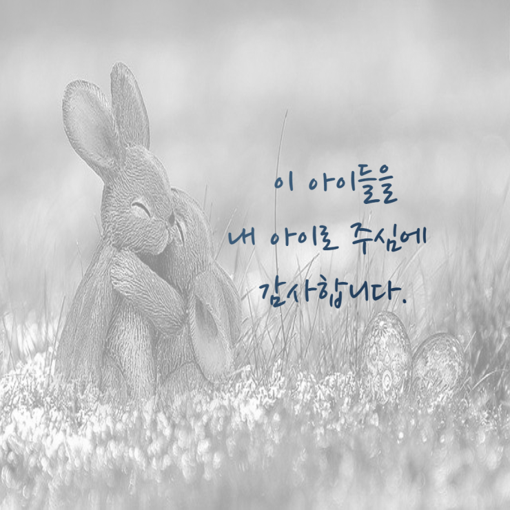  1월 11일 감사일기