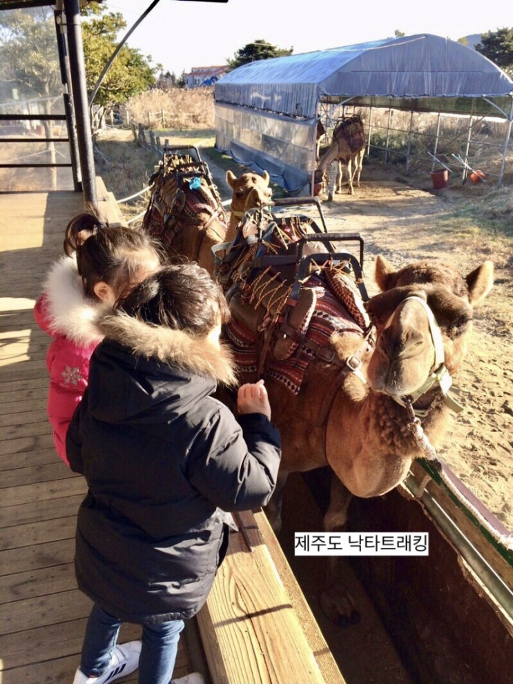 순간포착 1월 6일에 이런일이 | 슬쌍디아빠 과거로의 산책 육아일기