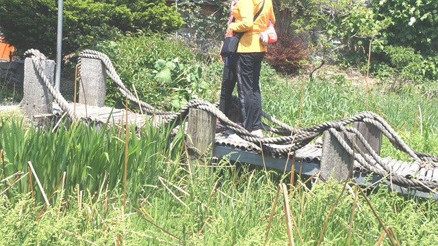 함평경회루 사진 2