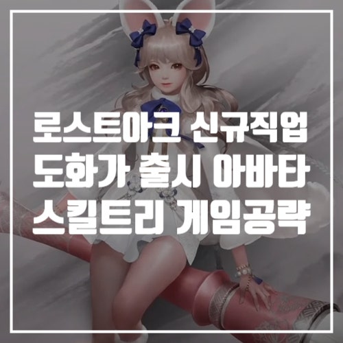 게임추천 로스트아크 하이퍼익스프레스 신규 직업 도화가 아바타, 스킬 게임공략