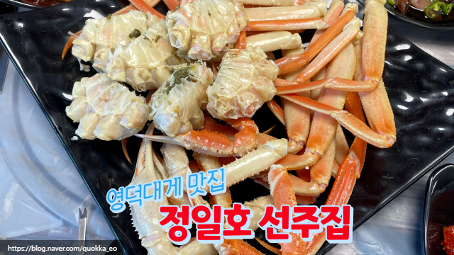  영덕 축산항 정일호 선주집 대게 내돈내산 2년째 방문 이유?