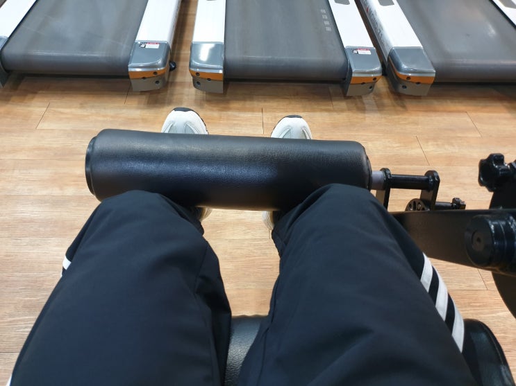  [22.01.11] 뿌리가 중헌디