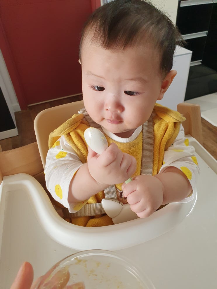  [이유식 중기] 261일 베이비무브로 만드는 닭안심브로콜리고구마찹쌀죽과 닭안심찹쌀단호박양파양송이버섯죽