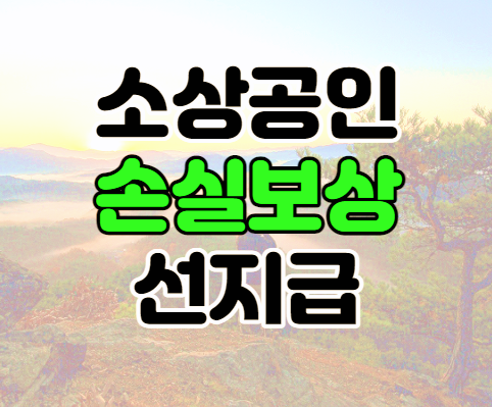 소상공인 손실보상 선지급 500만 원 소상공인정책자금 신청 소상공인 손실보상 선지급 500만 원 소상공인정책자금 신청