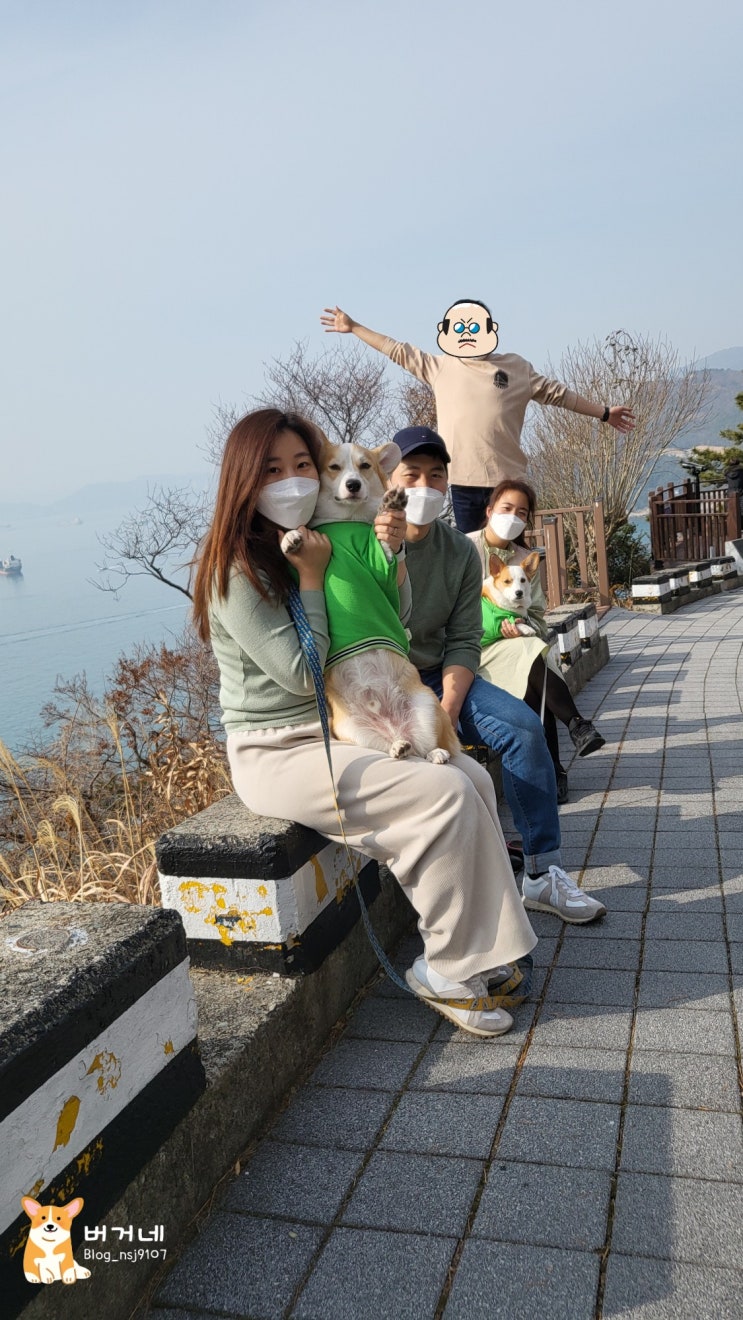  부산 가볼만한곳, 태종대 산책코스 애견동반여행