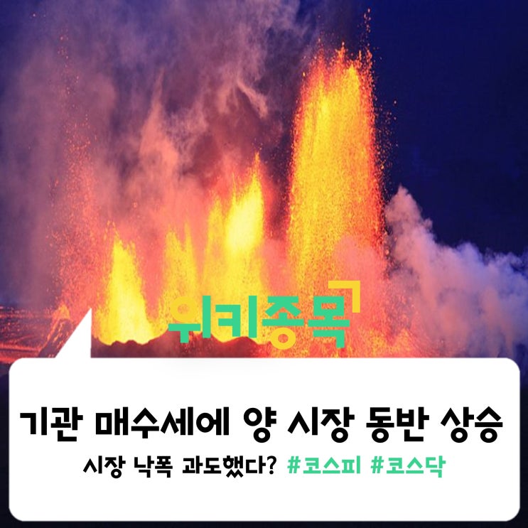  [위키종목] 시장 낙폭 과도했다? 기관 매수세에 양 시장 동반 상승