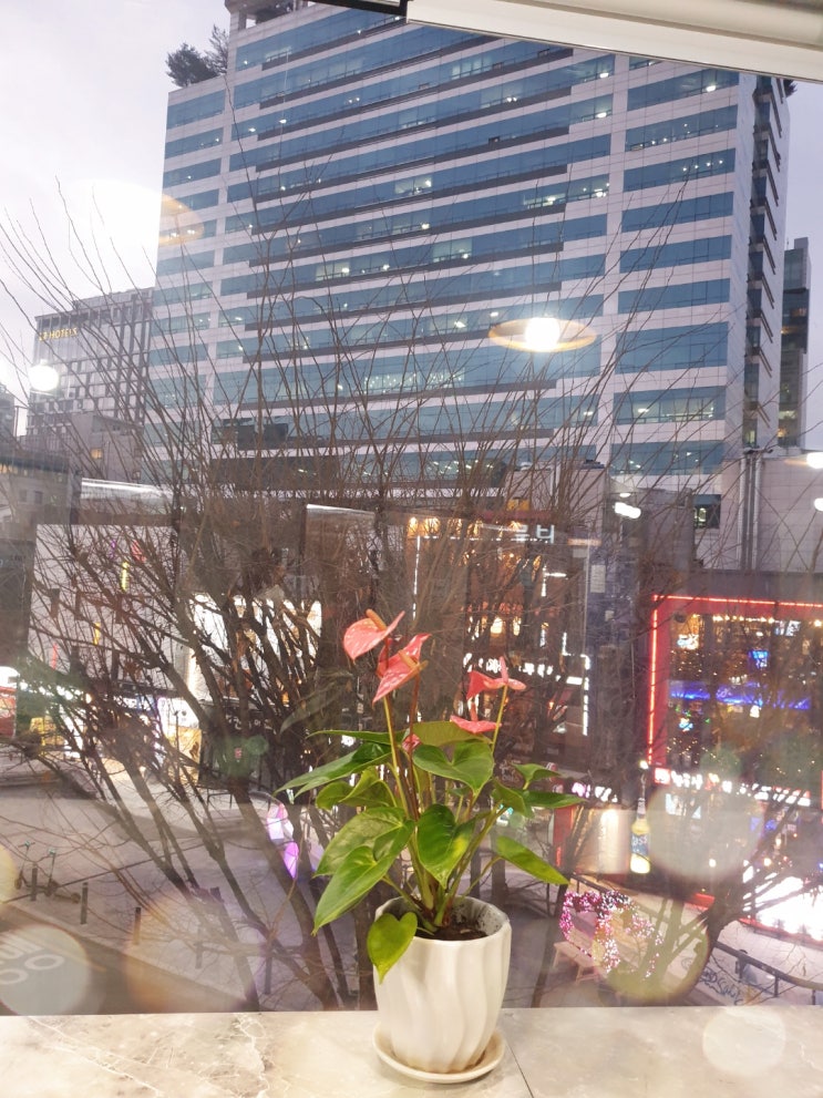 서울 마포 홍대입구역 비상주 사무실 창업 지원 센터- 걷고 싶은 거리 어울마당로 밤거리 산책